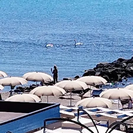 Beach Front Apartment Casa Davidoff Appartement *