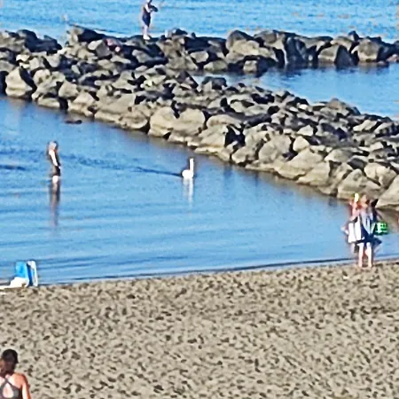 Appartement Beach Front Apartment Casa Davidoff Ostie